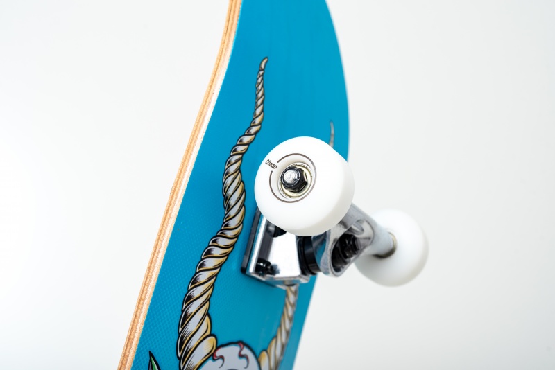 Skate Montado Chaze Iniciante Srie Monster Azul Claro